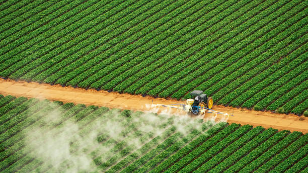 Best Pest Prevention Services  in La Porte, TX