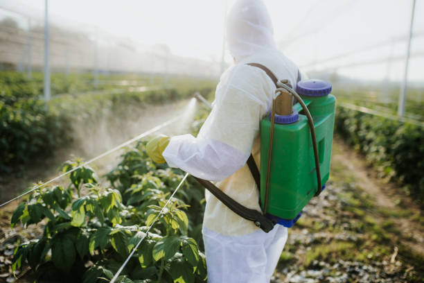 Best Pest Inspection Near Me  in La Porte, TX